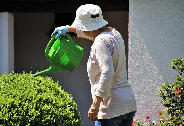 Lady wearing a hat watering plants with a green watering can